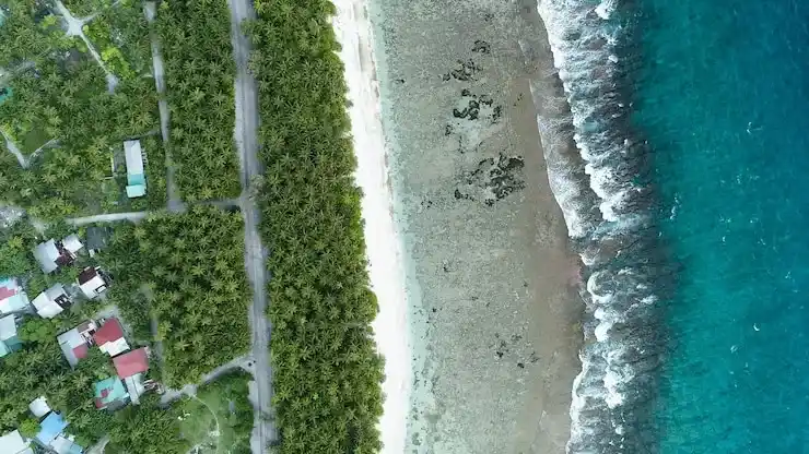移民最多的国家