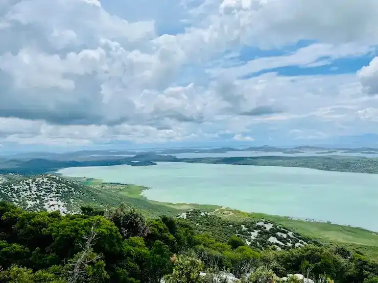 圣卢西亚移民护照制作，如何顺利完成批复后的护照制作流程？