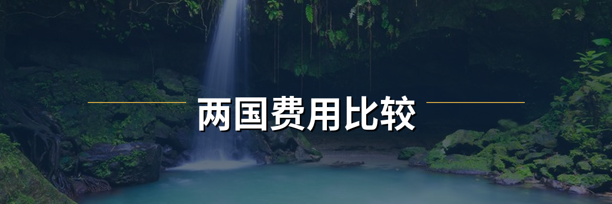 多米尼克