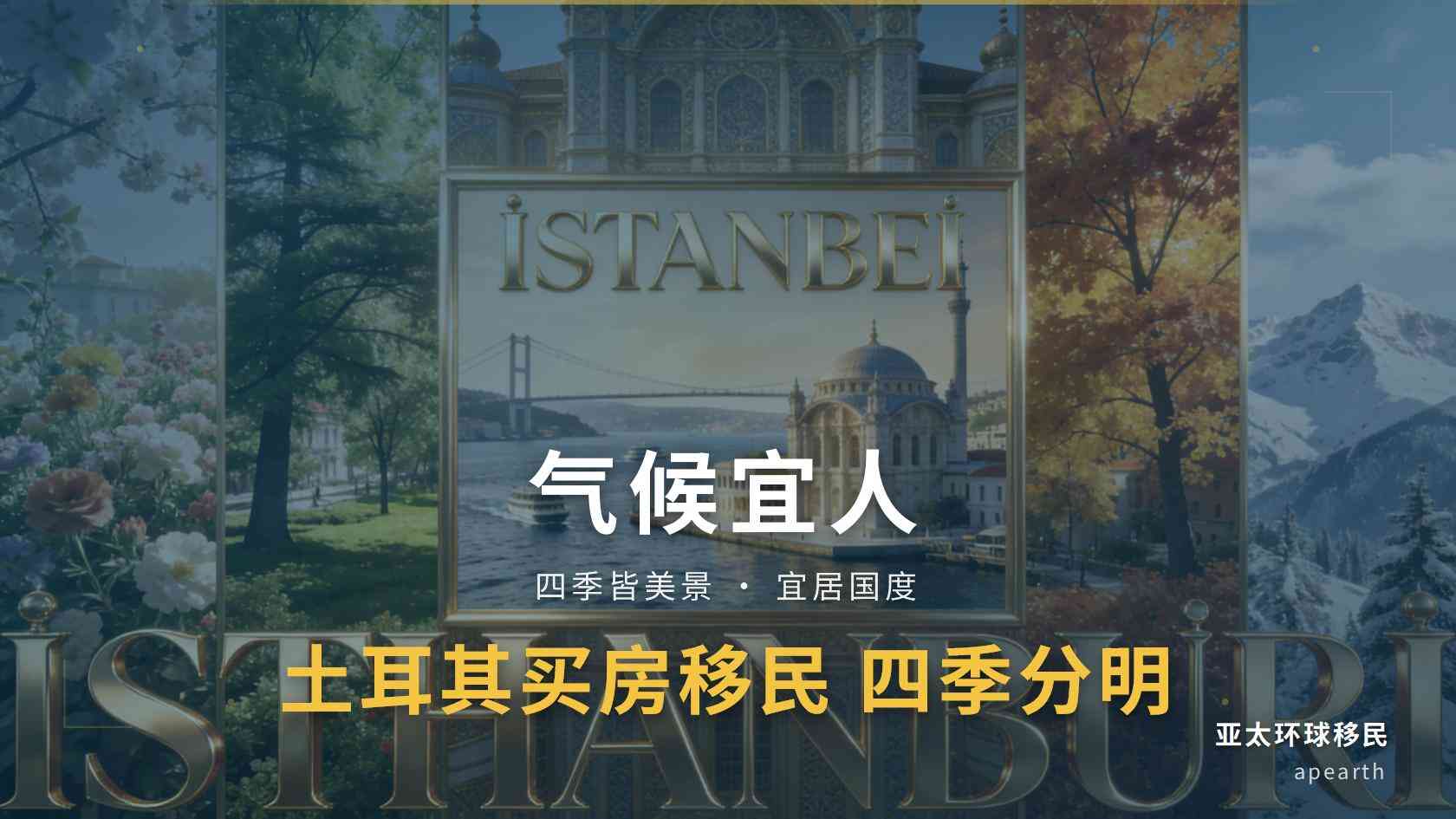 土耳其护照移民的通行便利与身份使用场景