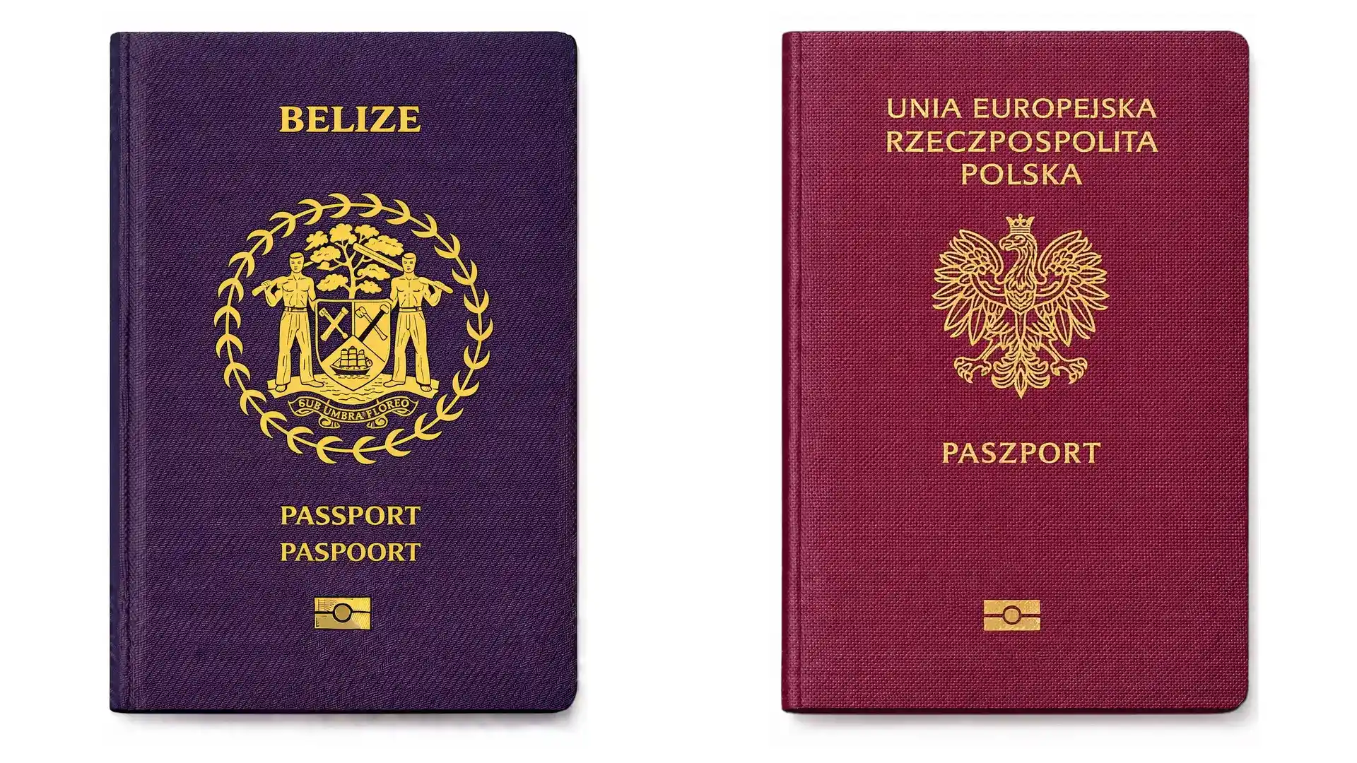 免签申根+英国，圣卢西亚护照真香