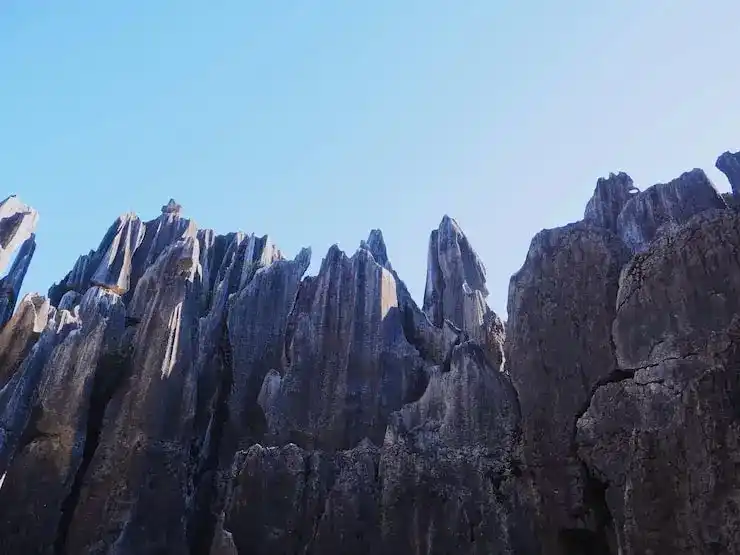 如何通过捐款移民实现全球布局？