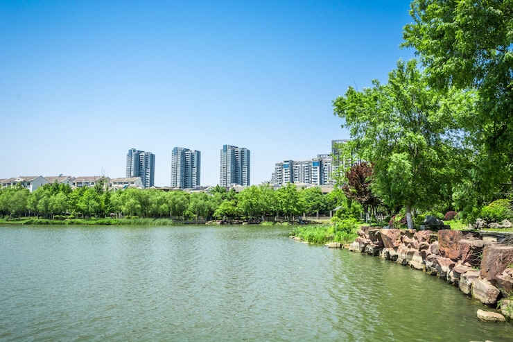 荷兰创业签证与申请步骤