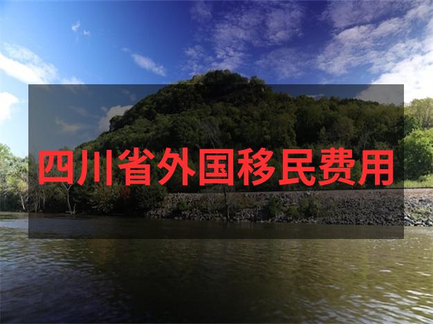 爱尔兰移民政策2025捐款移民涨至60万欧的细节