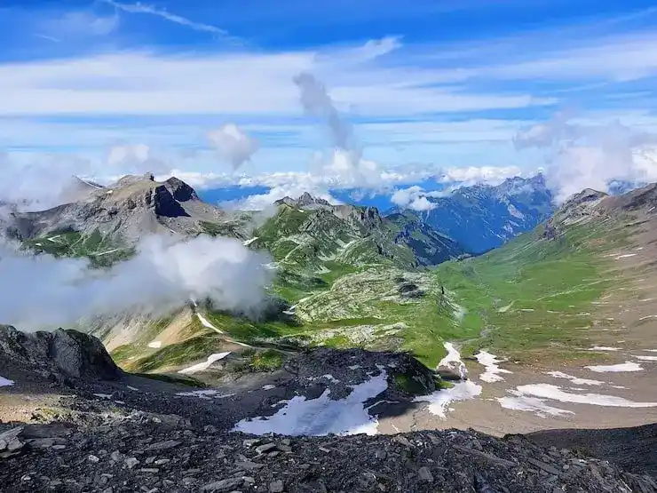 选择投资移民项目时的全球市场分析