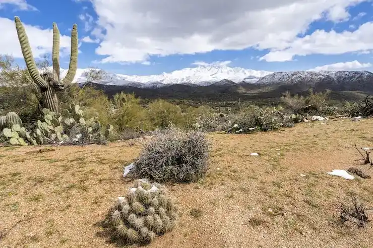 创业移民的法律要求与市场准入条件