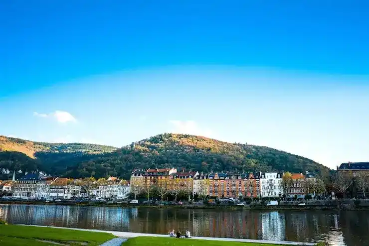 如何通过多米尼克房产移民获取旅游区房源的增值潜力，确保稳健投资？