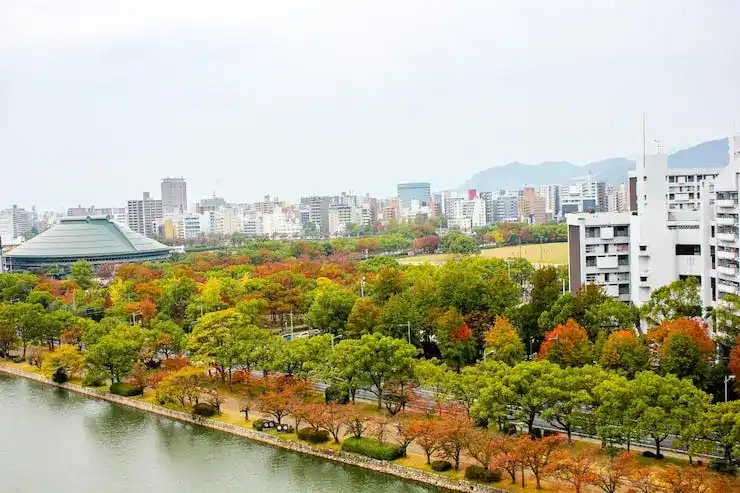 选择冰岛当移民的税务与社会福利