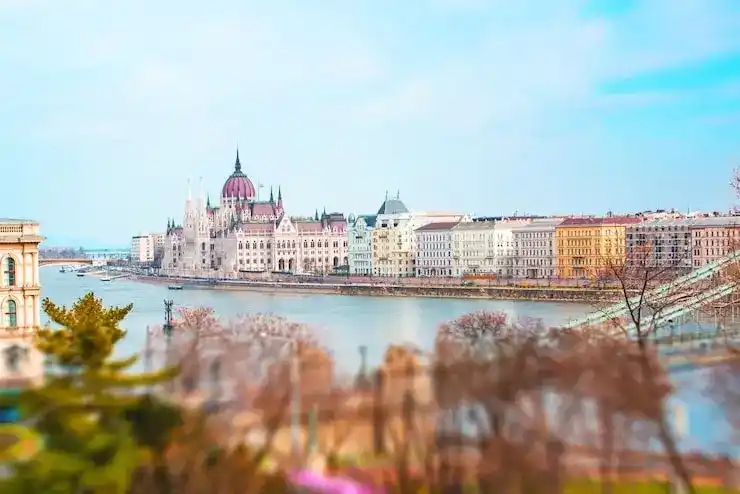 2026年投资移民排期的最新变化