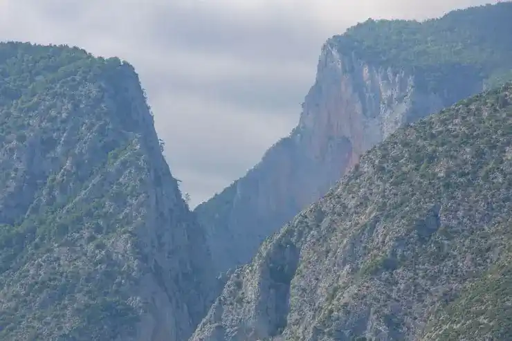 如何选择适合家庭创业的移民项目？