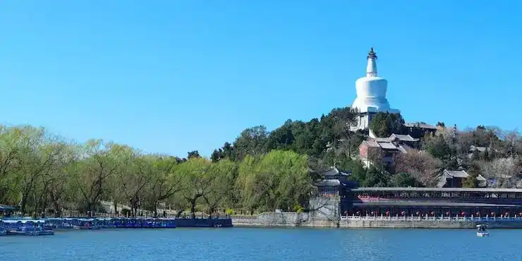 深圳移民公司提供的服务如何帮助你顺利办理美国移民？