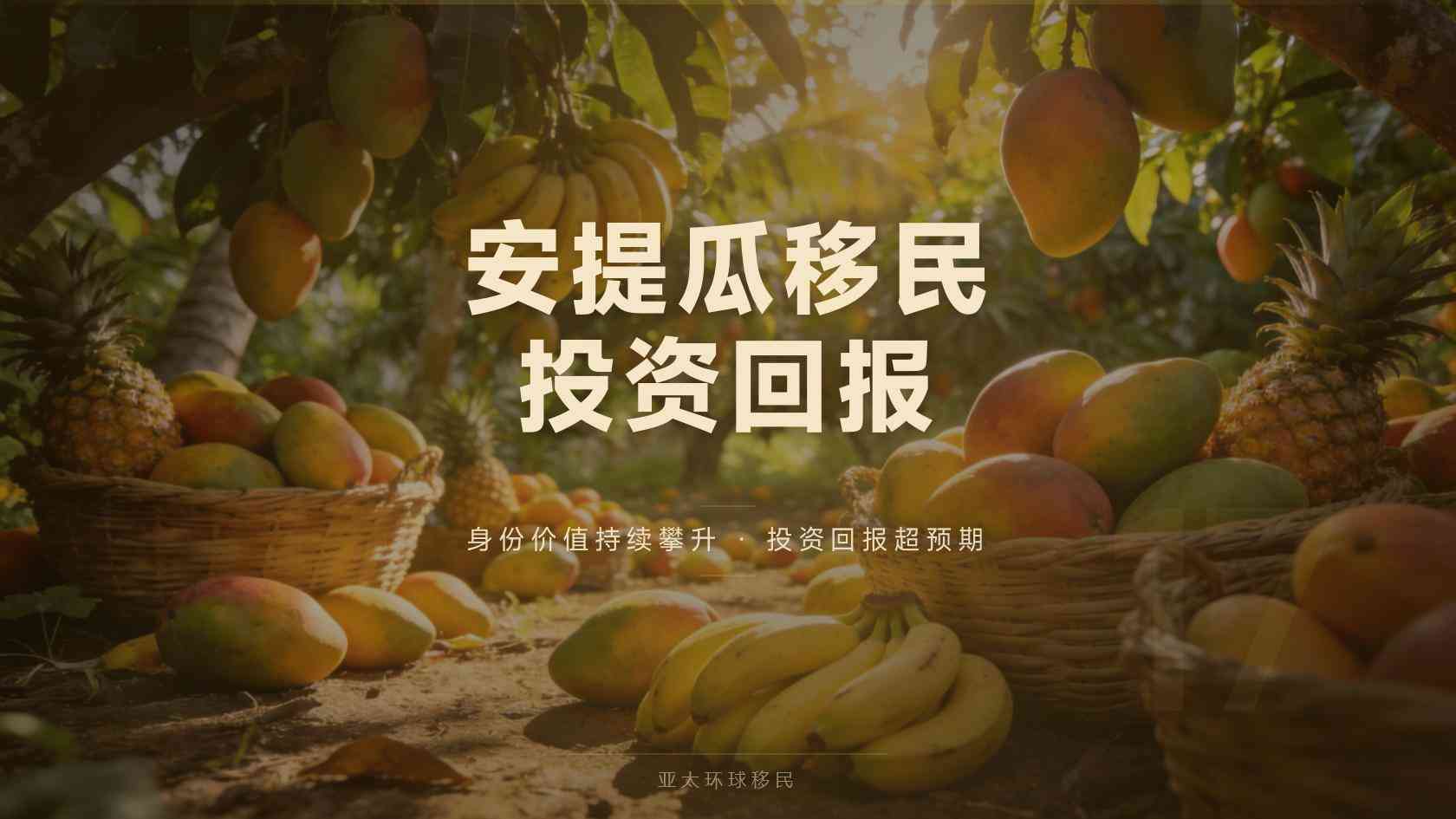 截至2026年9月，安提瓜移民政策与家属条件有哪些变化