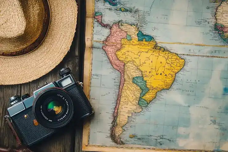 法国入籍申请的审批周期是多久？2025年有提速吗？