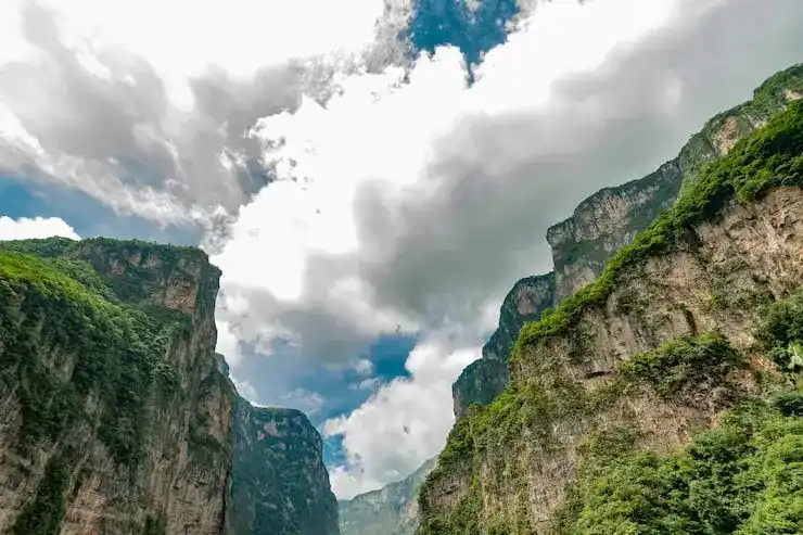 通过移民为企业拓展国际市场提供更多机会