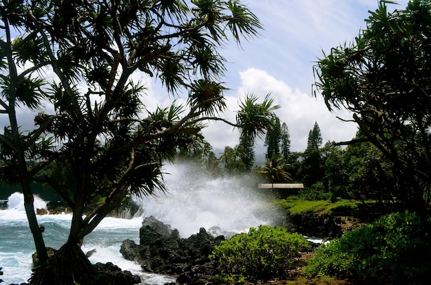 Vanuatu