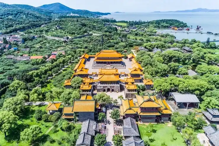 移民的