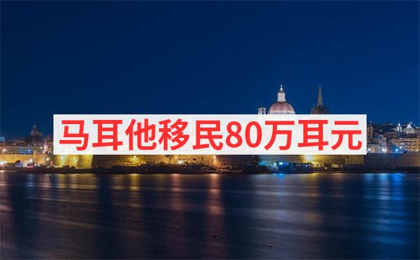 马耳他移民新政策2024对教育背景不同的申请人在申请条件上有何变化？