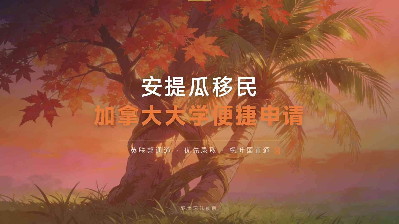 2026年安提瓜和巴布达护照大学基金路线适合什么家庭
