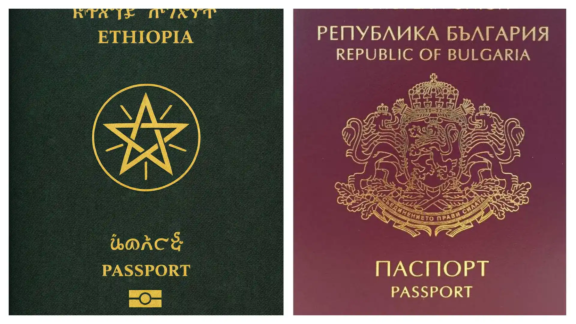 希腊绿卡能就读深圳韩国国际学校吗？