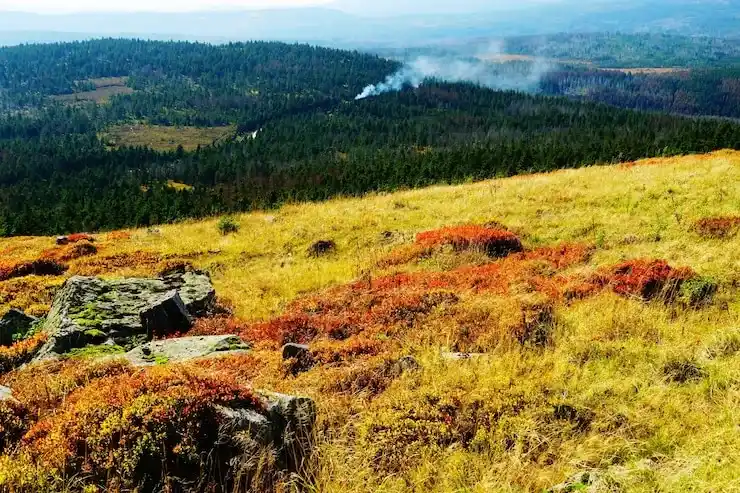 2026深度希腊移民土耳其条件与流程｜亚太环球专业解读