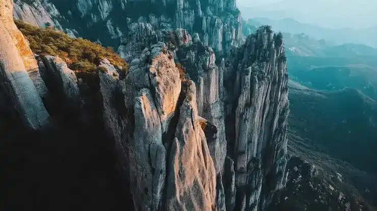 德国移民申请的婚姻证明需满足什么公证与认证要求？翻译需使用哪种语言？