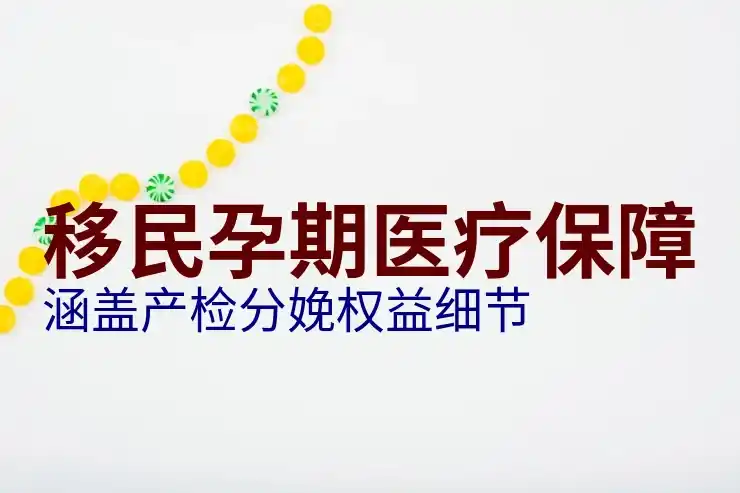 多米尼克移民的办理流程与费用
