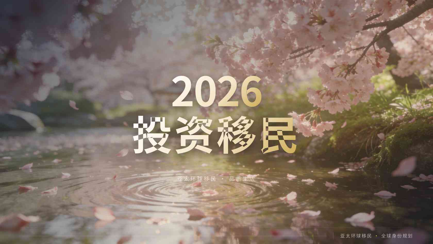 移民公司需要提前了解什么？条件、流程、费用与风险说明