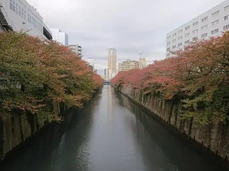 移民