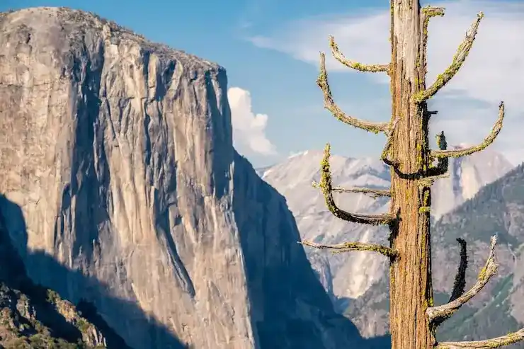 葡萄牙养老移民条件与生活成本分析