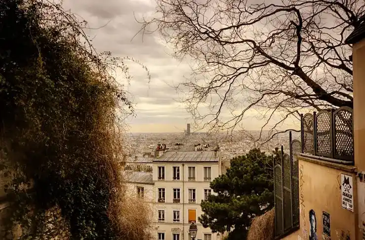 新西兰居留身份被撤销的常见原因有哪些？2025年提供虚假信息会有什么后果？