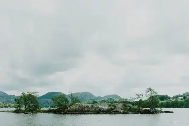 西班牙非盈利移民