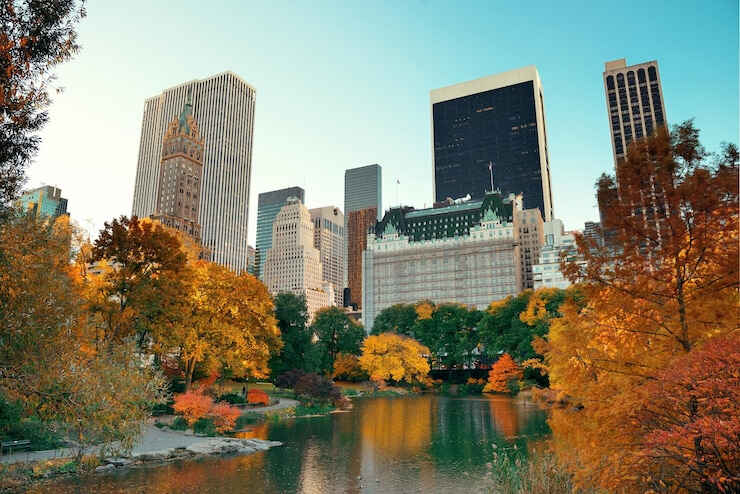 绿卡