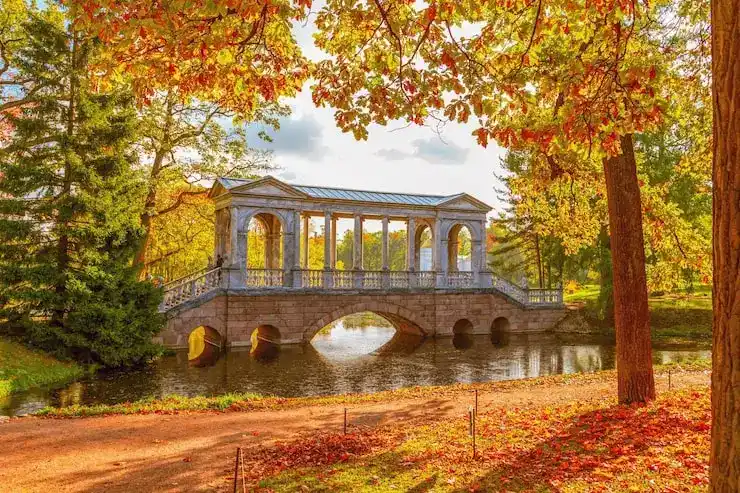 移民政策收紧时代：哪些国家仍对中国申请人友好