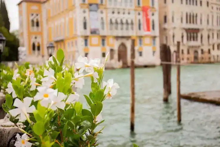 新加坡EP申请需提供学历认证报告吗？WES 认证是否被认可？