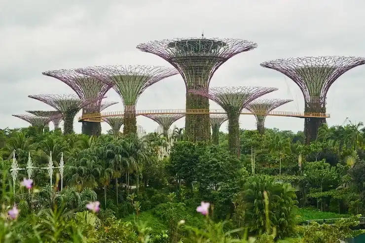 新加坡永居申请条件与过程