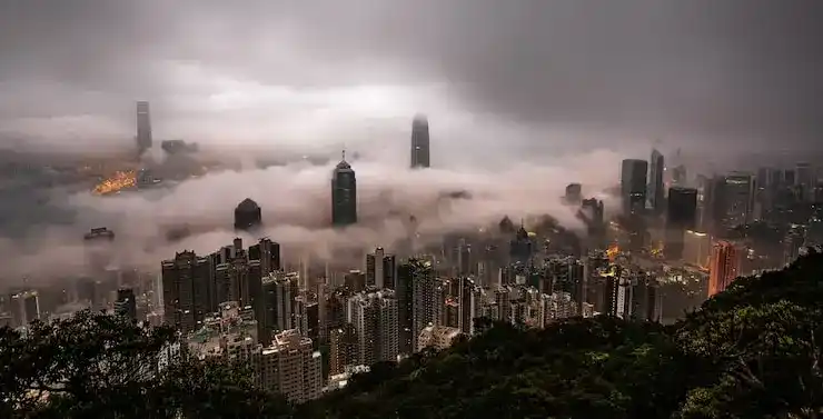 新西兰移民中介公司的选择