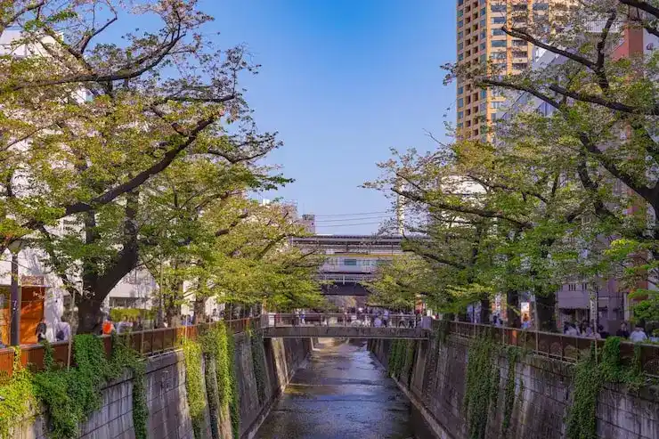 移民