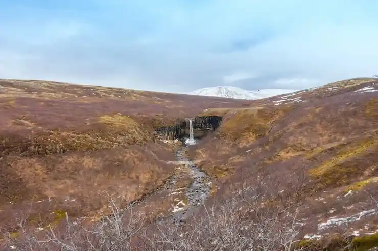 怎么才能投资移民？各国移民政策解读