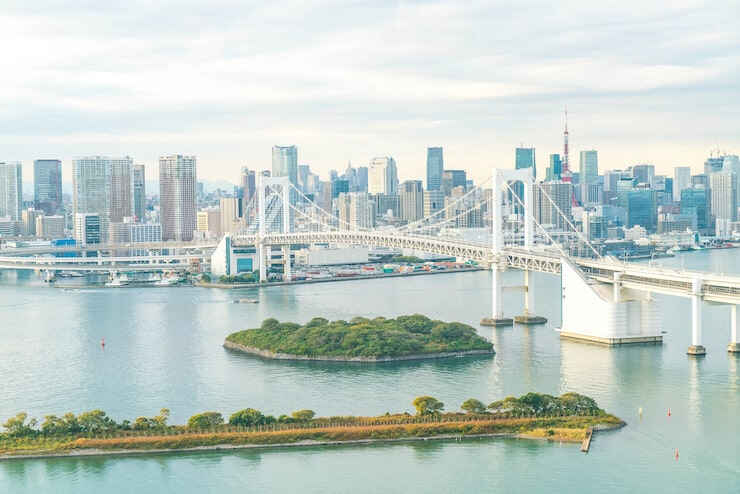 圣基茨移民