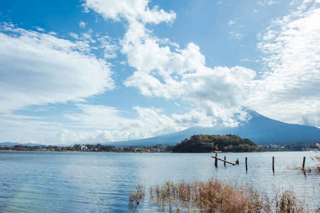 哪些人适合移民塞浦路斯？