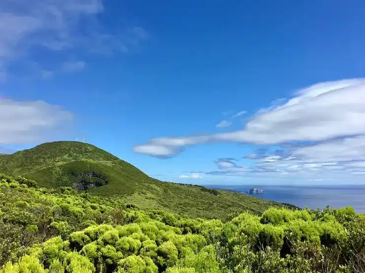 借助圣卢西亚国债投资入籍，25万美金如何为您带来移民机会？