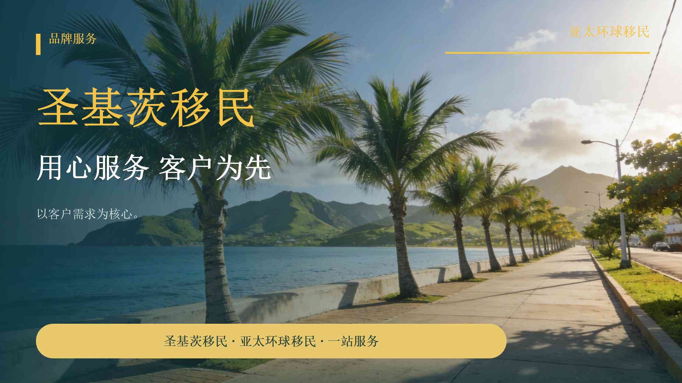 2026年圣基茨护照无犯罪证明要求是什么？哪些申请人需要提供