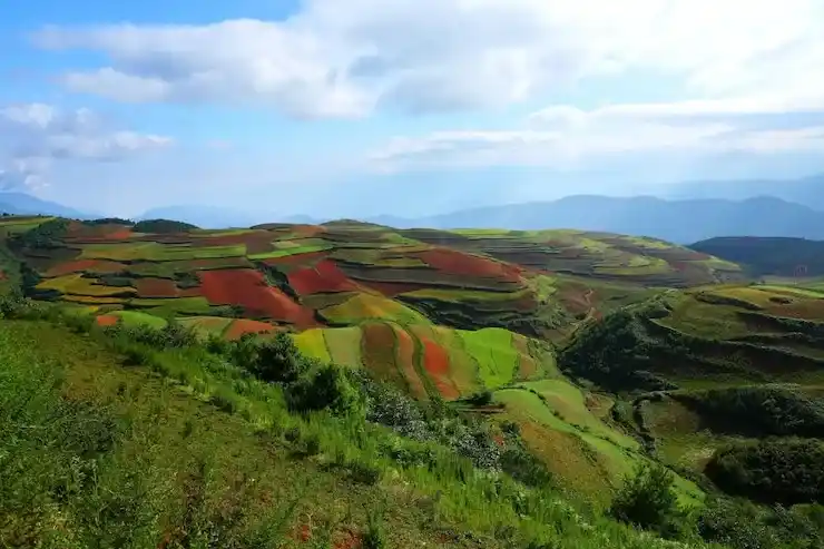 爱尔兰永居与英国长期签证关系，Common Travel Area优势