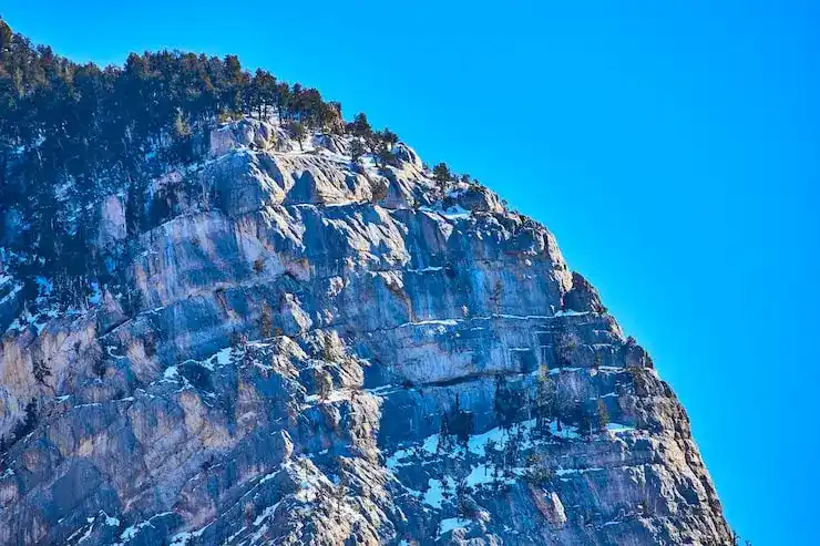 新投资移民申请是否需要提供无犯罪记录证明？