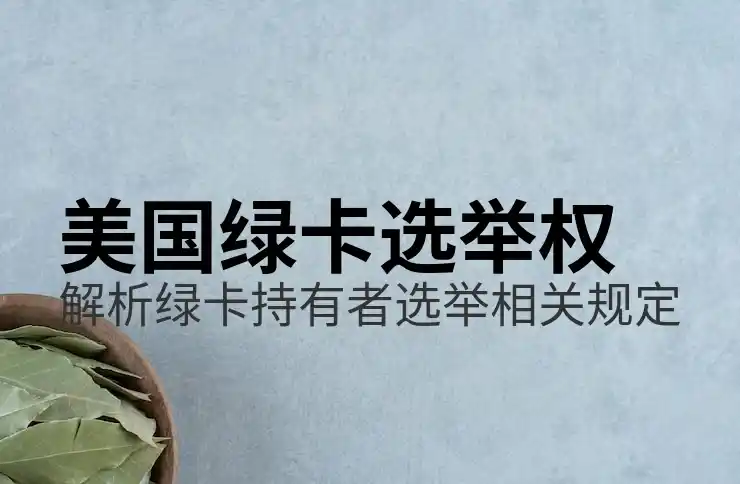 美国EB-5移民，资金监管缺失，项目烂尾风险