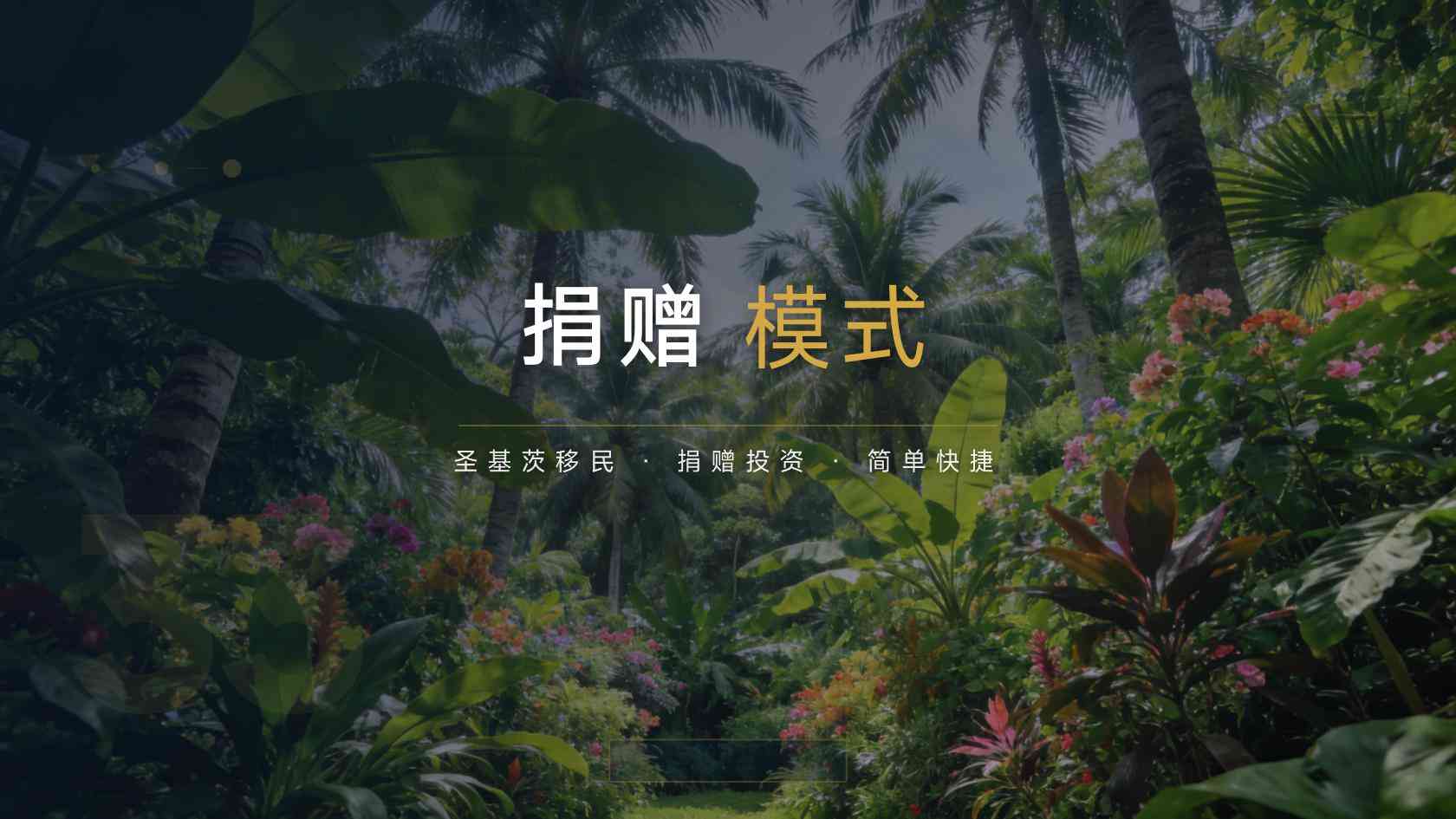 圣基茨护照