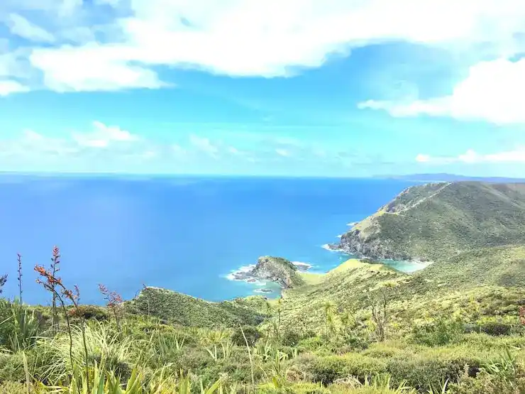 圣卢西亚移民养老成本可控性价比高