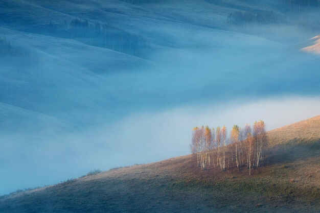 匈牙利移民避坑指南：长居卡续签、转永居、入籍全攻略