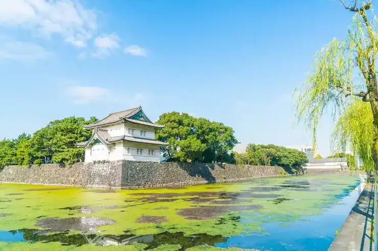 美国医疗白卡申请条件与使用指南