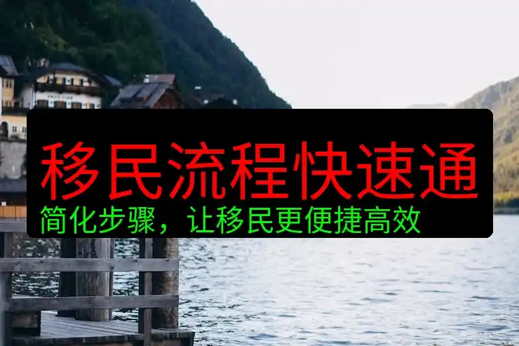 移民条件